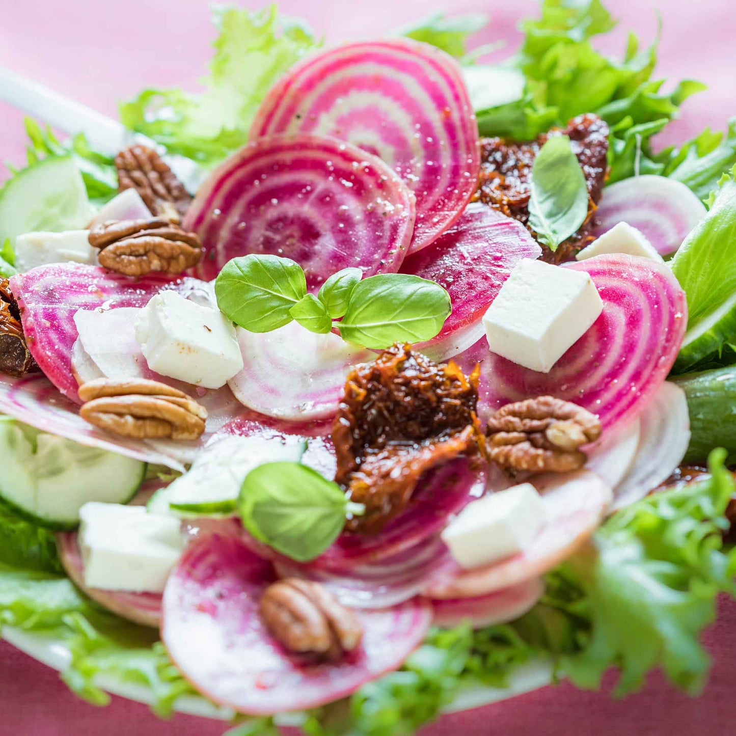 Close-up of a Chioggia beet with vibrant red and white concentric rings.