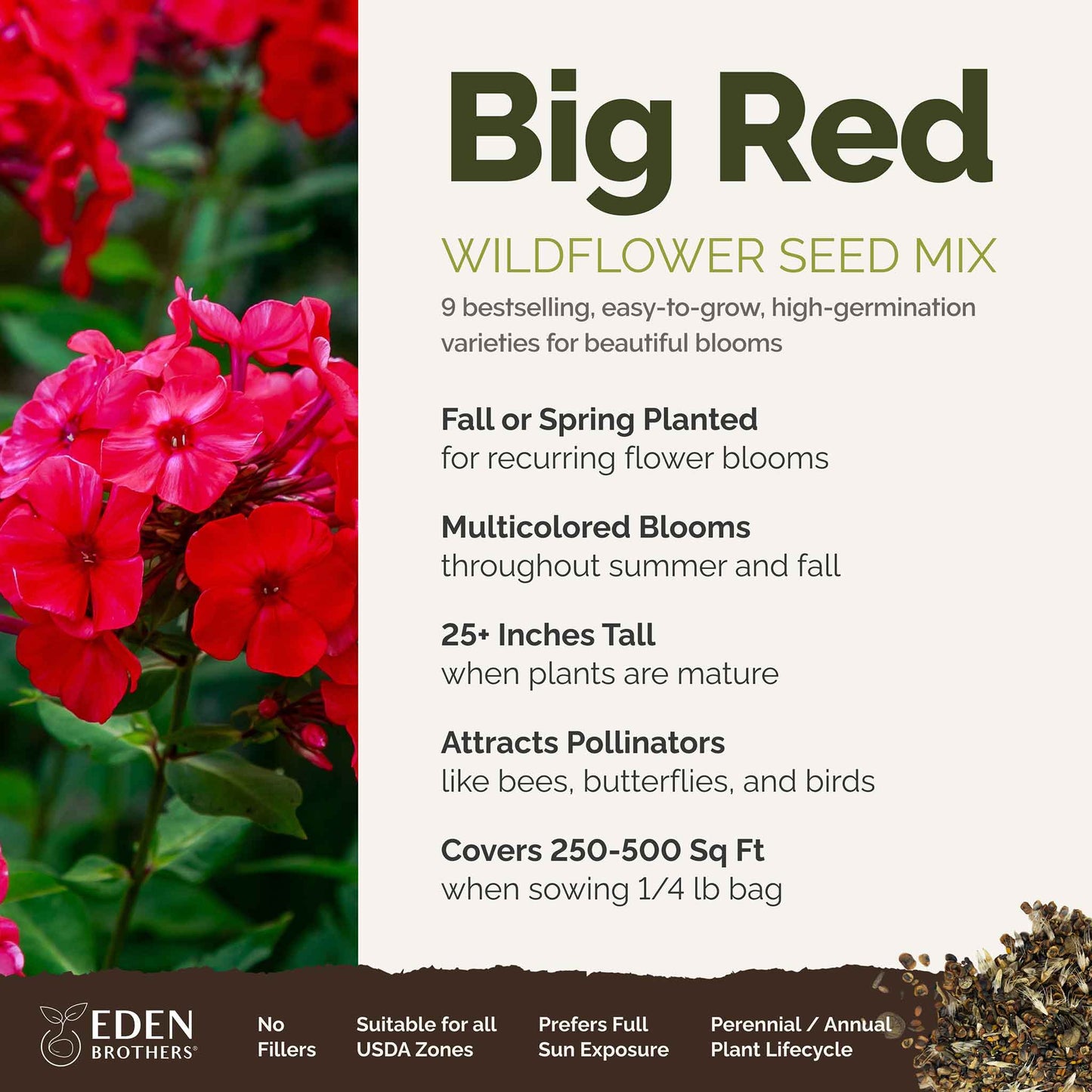 A visual overview of the wildflower seed mix, showcasing expected floral blooms.