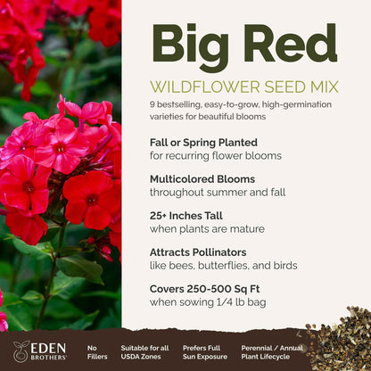 A visual overview of the wildflower seed mix, showcasing expected floral blooms.