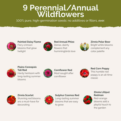 List of flower species and seeds included in the Wildflower Seed Mix.