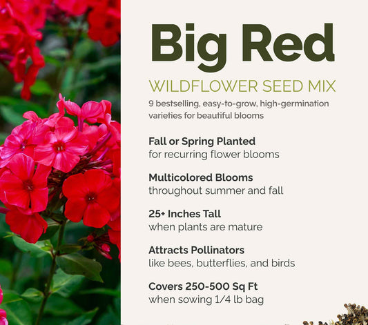A visual overview of the wildflower seed mix, showcasing expected floral blooms.