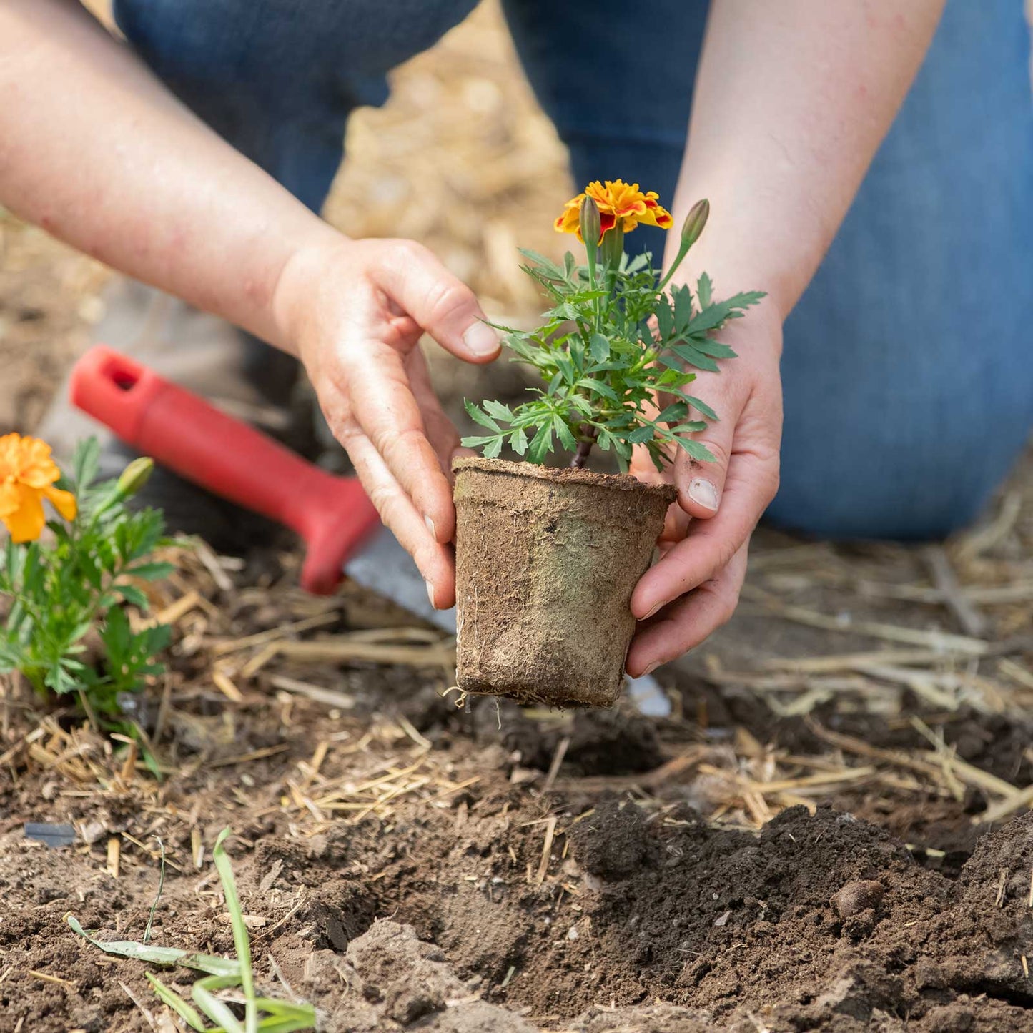 Biodegradable Seed Starting Pots