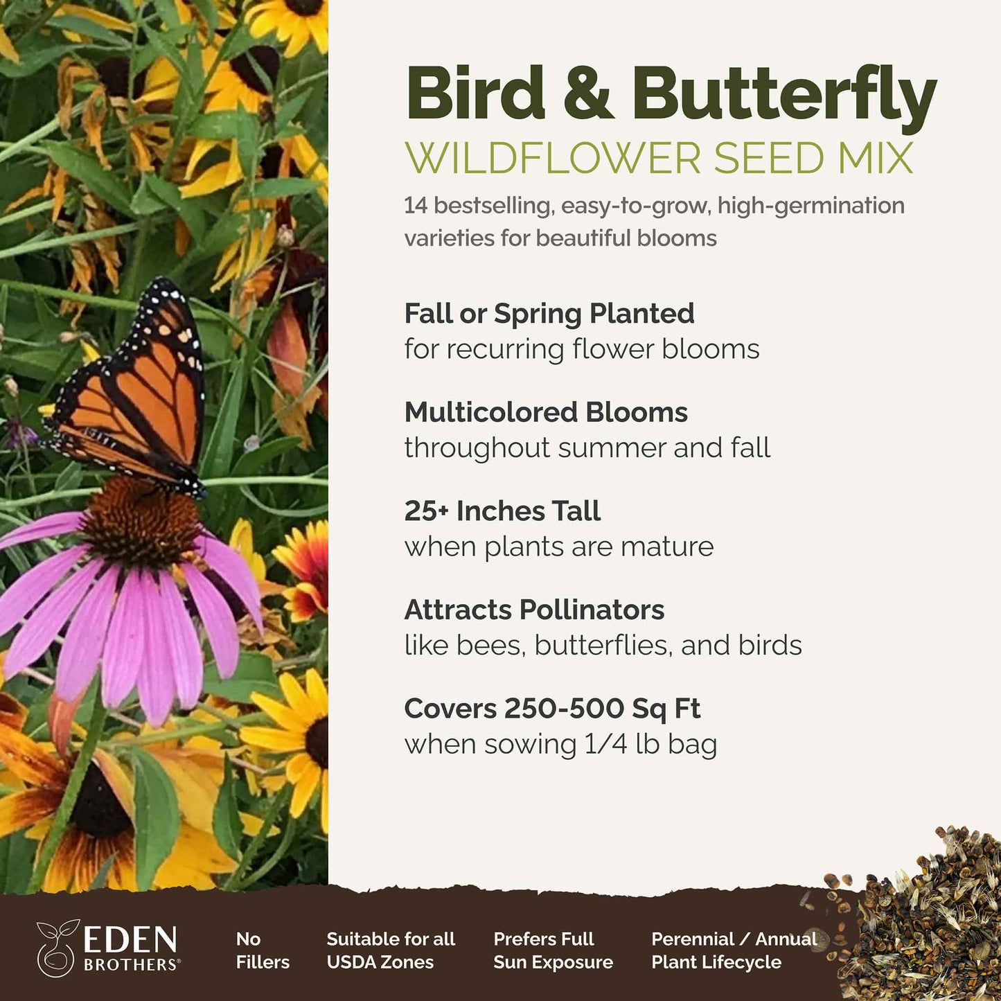 A visual overview of the wildflower seed mix, showcasing expected floral blooms.