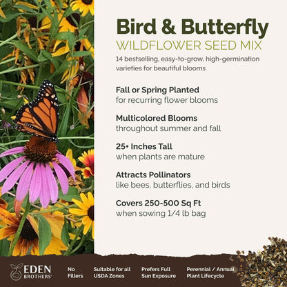 A visual overview of the wildflower seed mix, showcasing expected floral blooms.