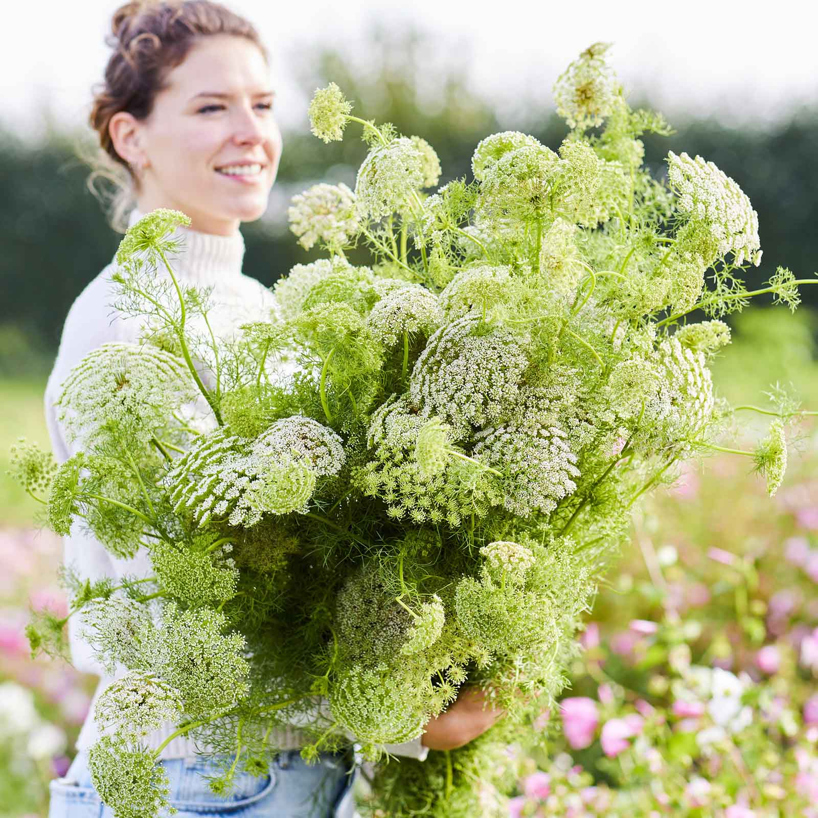 A person holding a bouquet of bishop flower green mist flowers in a garden setting.