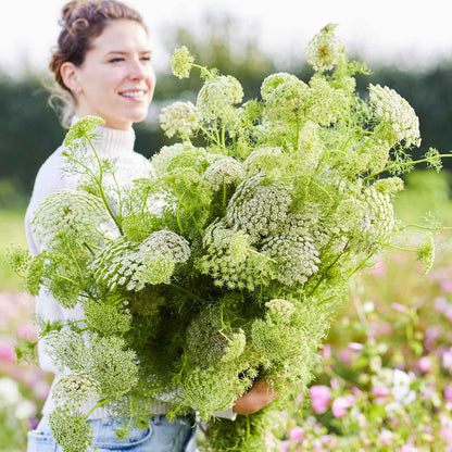 A person holding a bouquet of bishop flower green mist flowers in a garden setting.