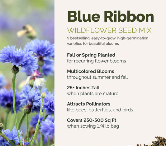 A visual overview of the wildflower seed mix, showcasing expected floral blooms.