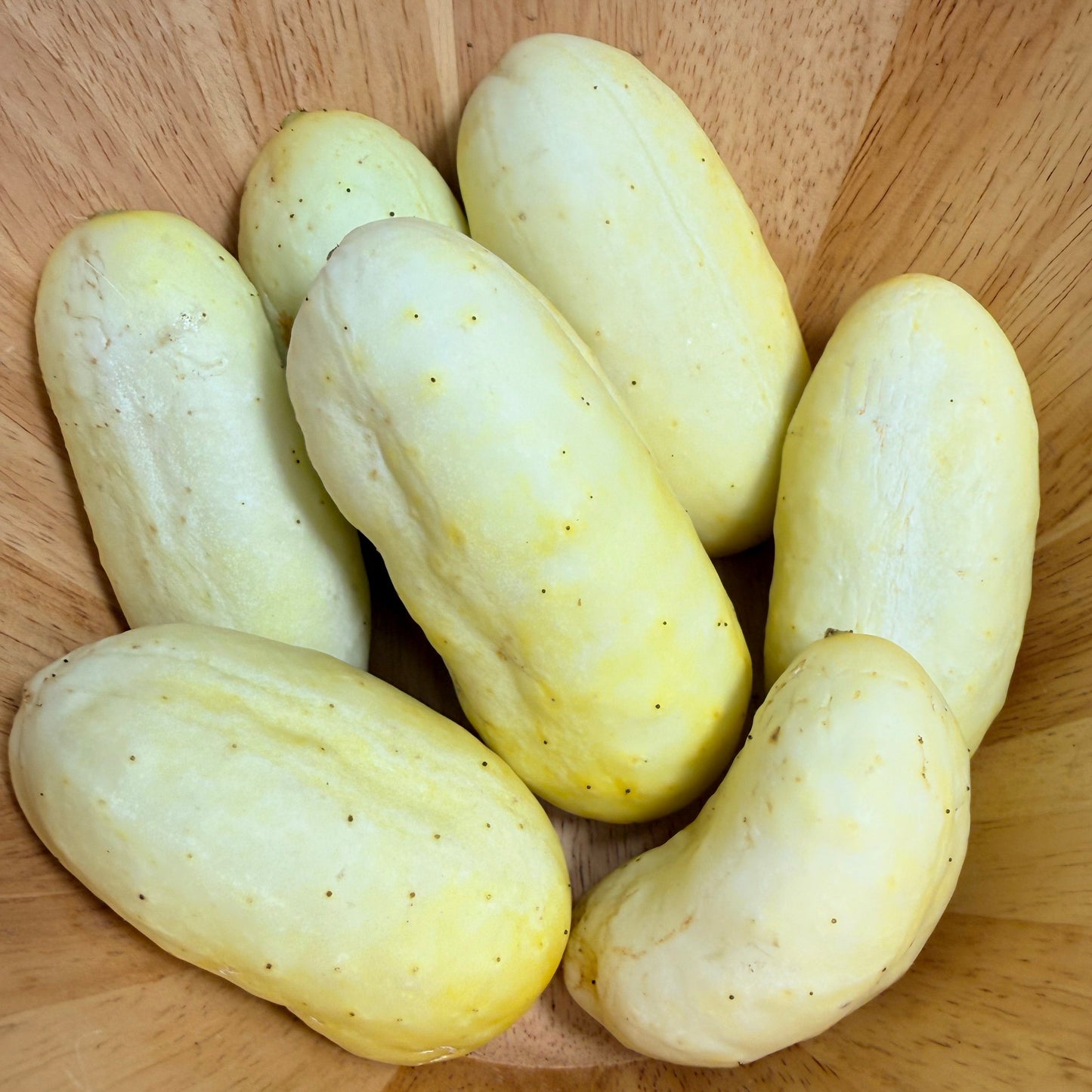 Boothby's Blonde Cucumber