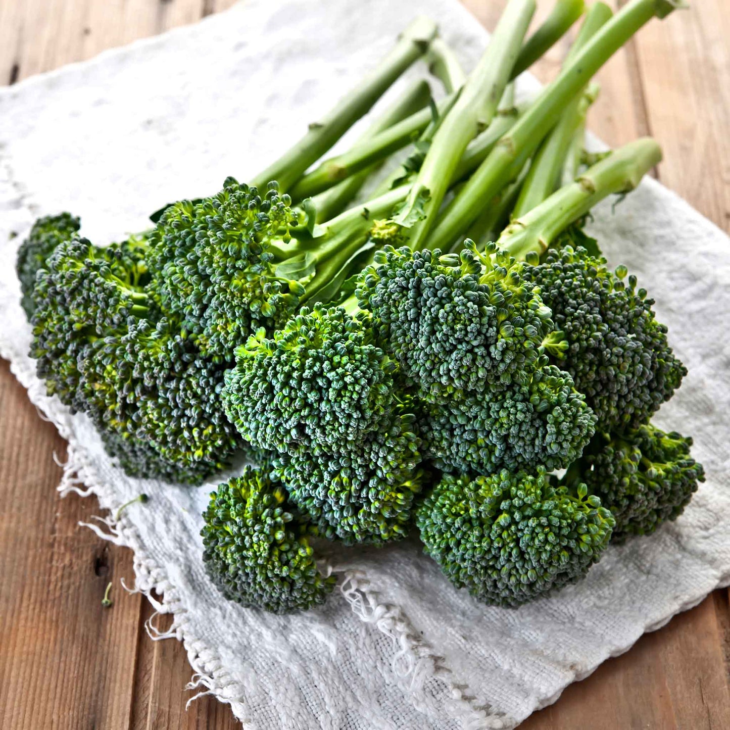 A close-up shot of green broccoli florets with a neutral background.