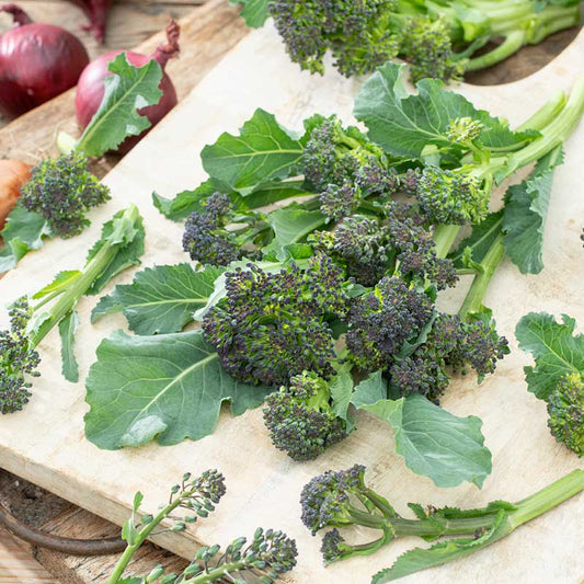 Purple Sprouting broccoli florets and leafy stems arranged on a rustic cutting board
