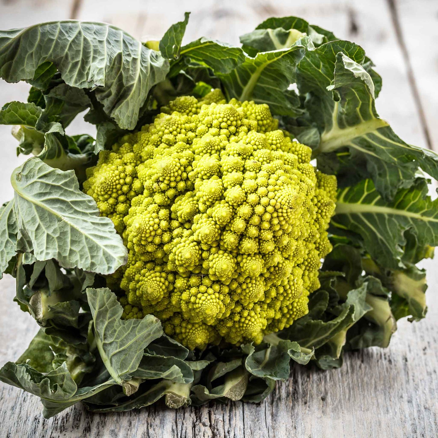 A close-up shot of vibrant green Romanesco broccoli, showcasing its unique fractal patterns and conical florets.