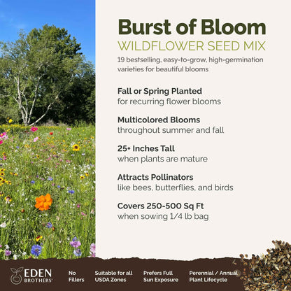 A visual overview of the wildflower seed mix, showcasing expected floral blooms.