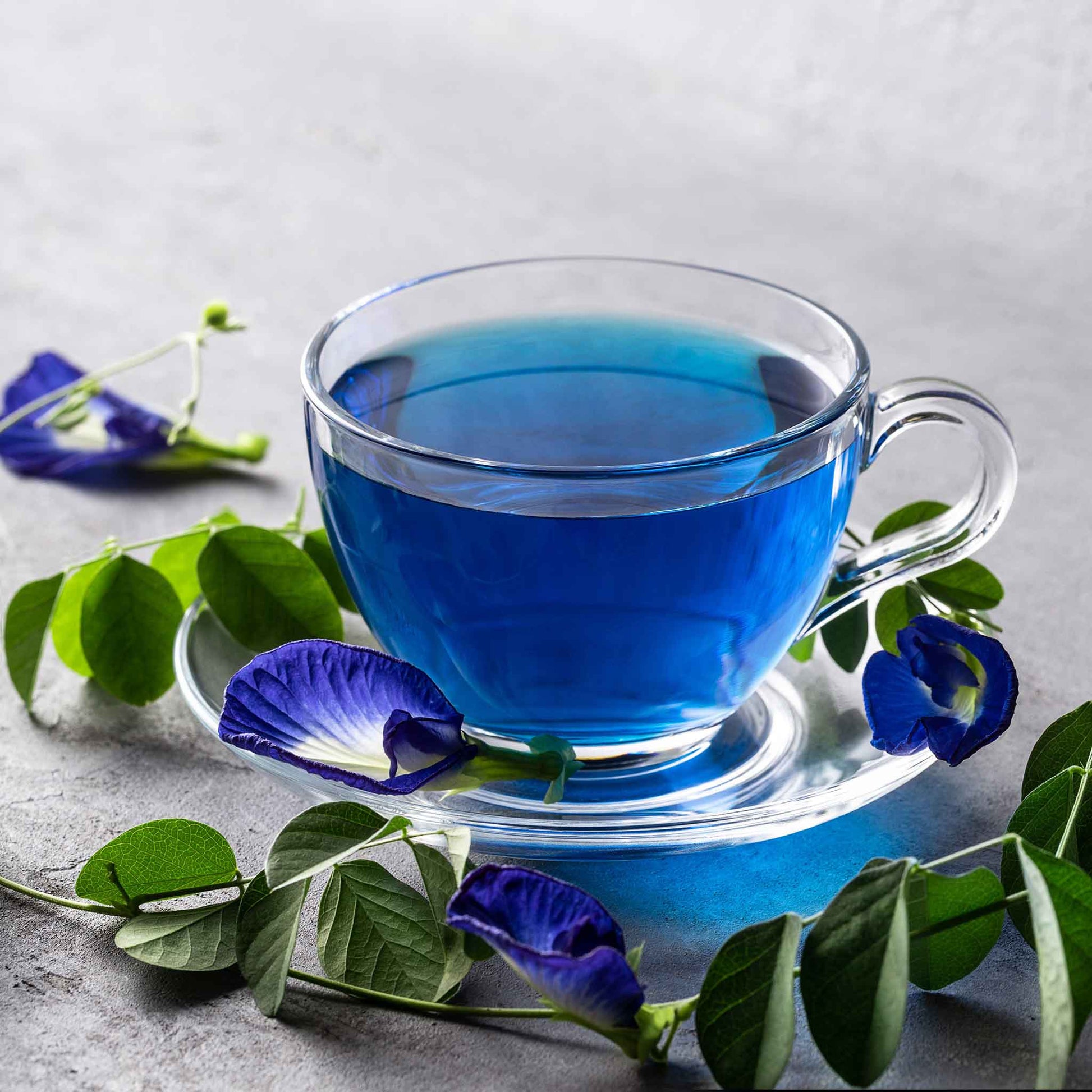 A close-up shot of a vibrant blue butterfly pea flowers with leaves and a cup in the background