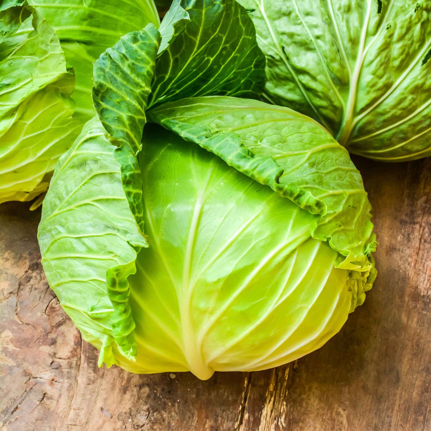 A single green copenhagen market cabbage head on a wooden table.