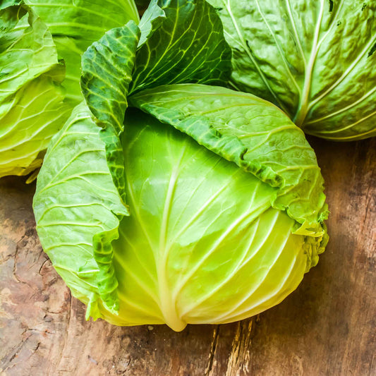 A single green copenhagen market cabbage head on a wooden table.