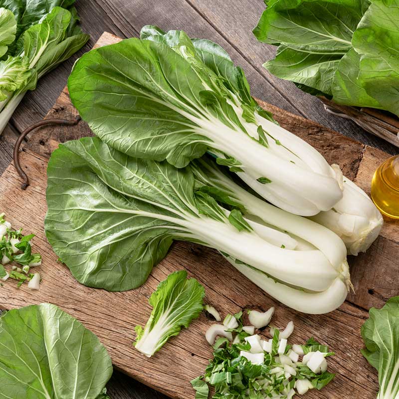 A close-up shot of green and white pak choy white stem cabbage with vibrant leaves and thick white stems. | copyright: Floramedia UK Ltd