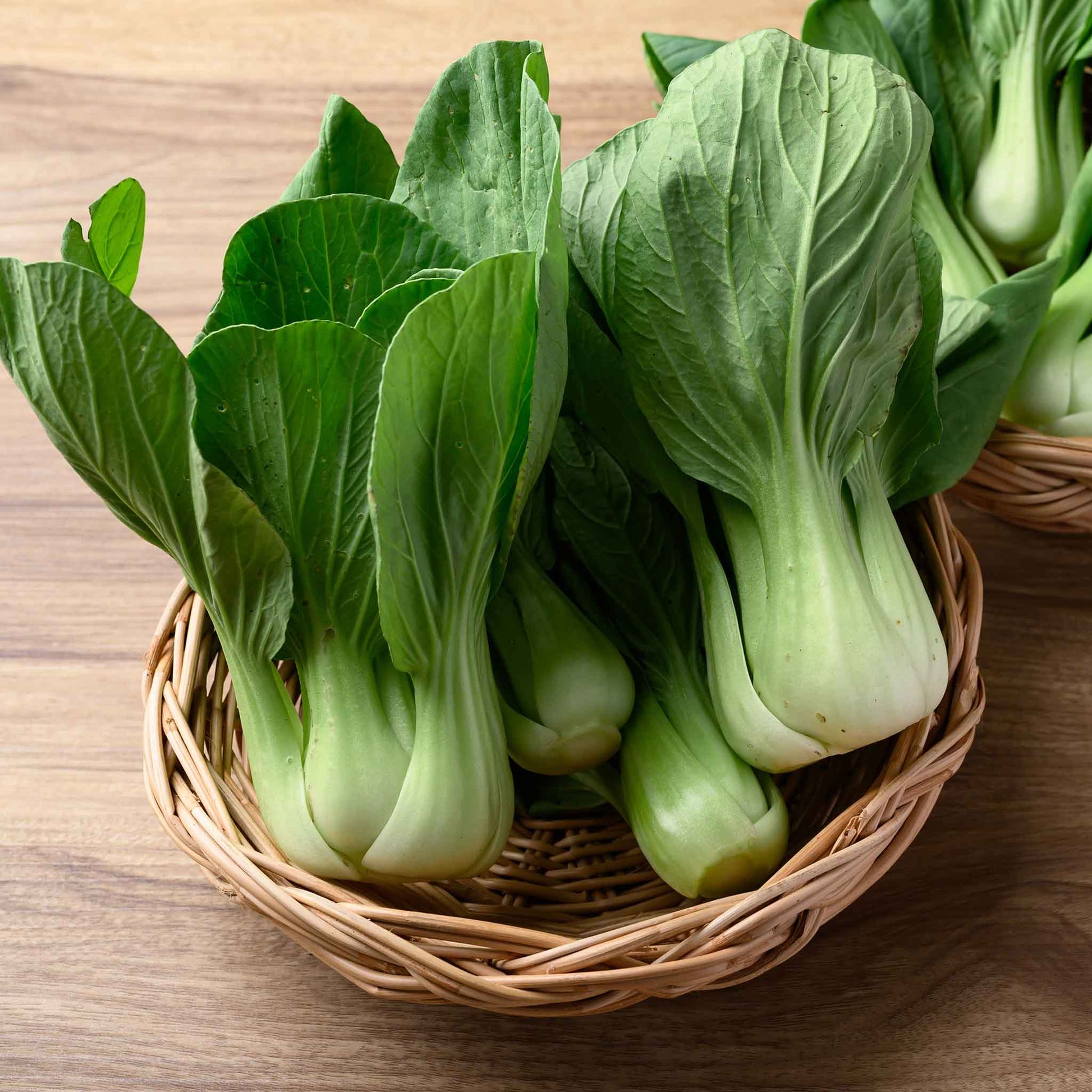 A vivid bunch of Pak Choy white stem with glossy green leaves and crisp white stems shown close-up.
