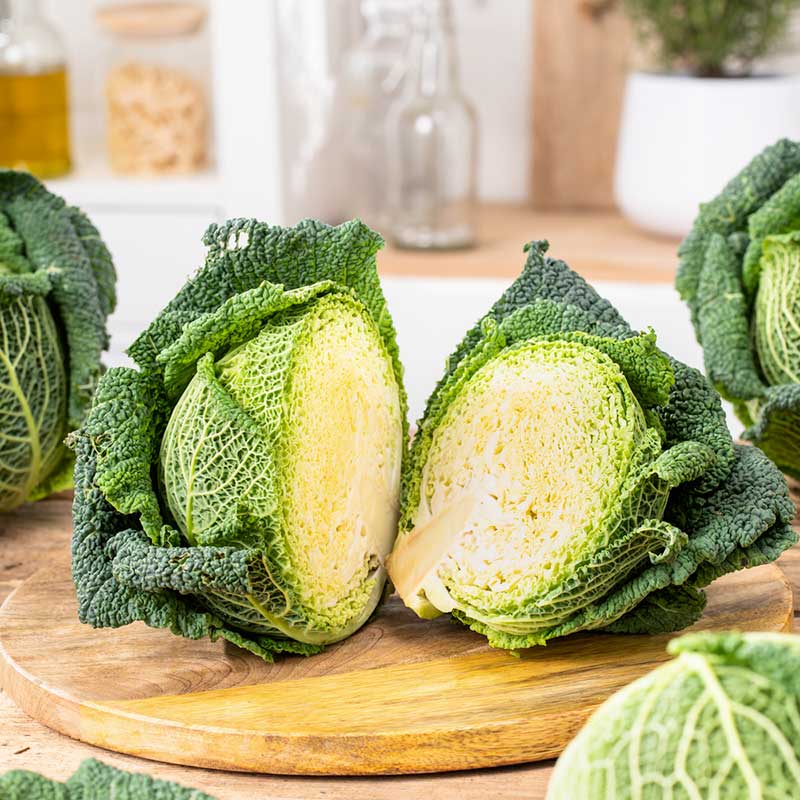 A close-up shot of a round, green Savoy cabbage head with its characteristic crinkled leaves. | copyright: Floramedia UK Ltd
