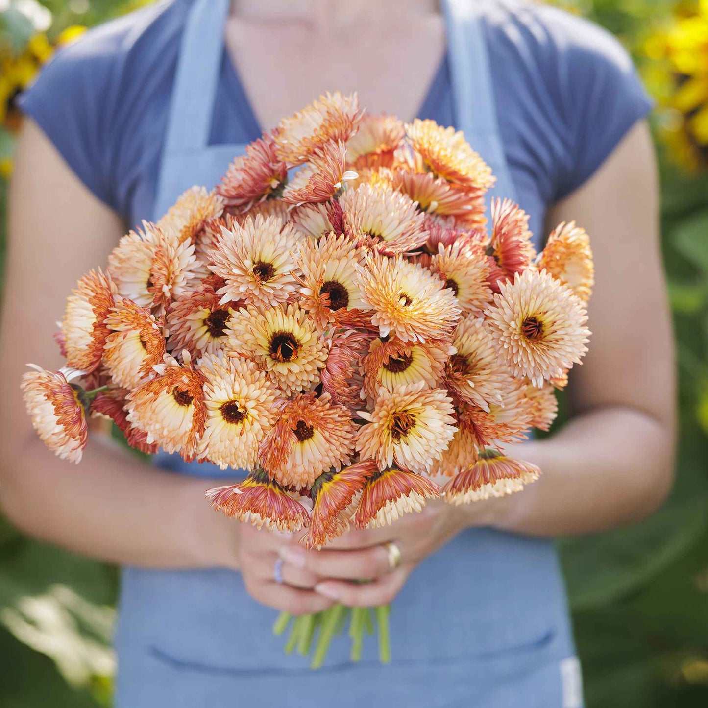A close-up shot of several bright orange calendula flowers with dark centers, clustered together.