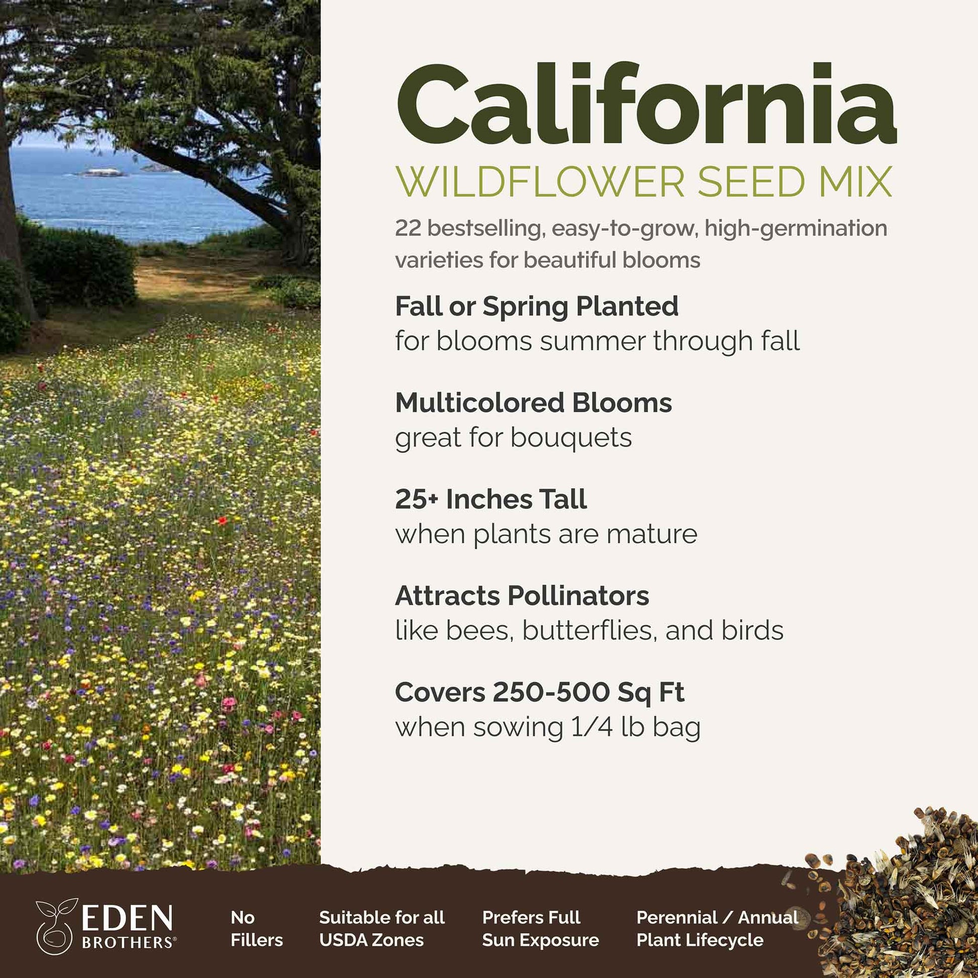 A visual overview of the wildflower seed mix, showcasing expected floral blooms.