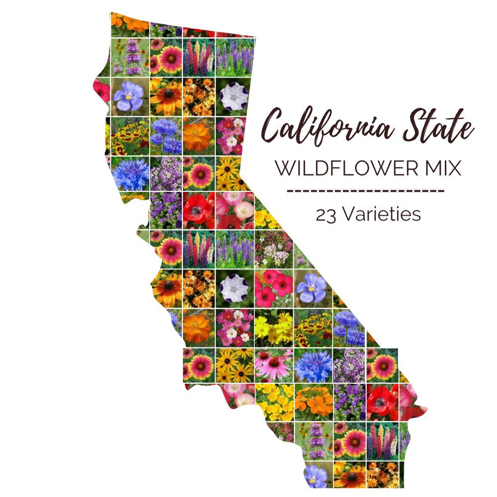 Graphic of the outline of the state for California Wildflower Seed Mix that contains images of the flowers in the mix