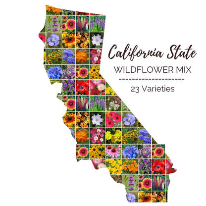 Graphic of the outline of the state for California Wildflower Seed Mix that contains images of the flowers in the mix