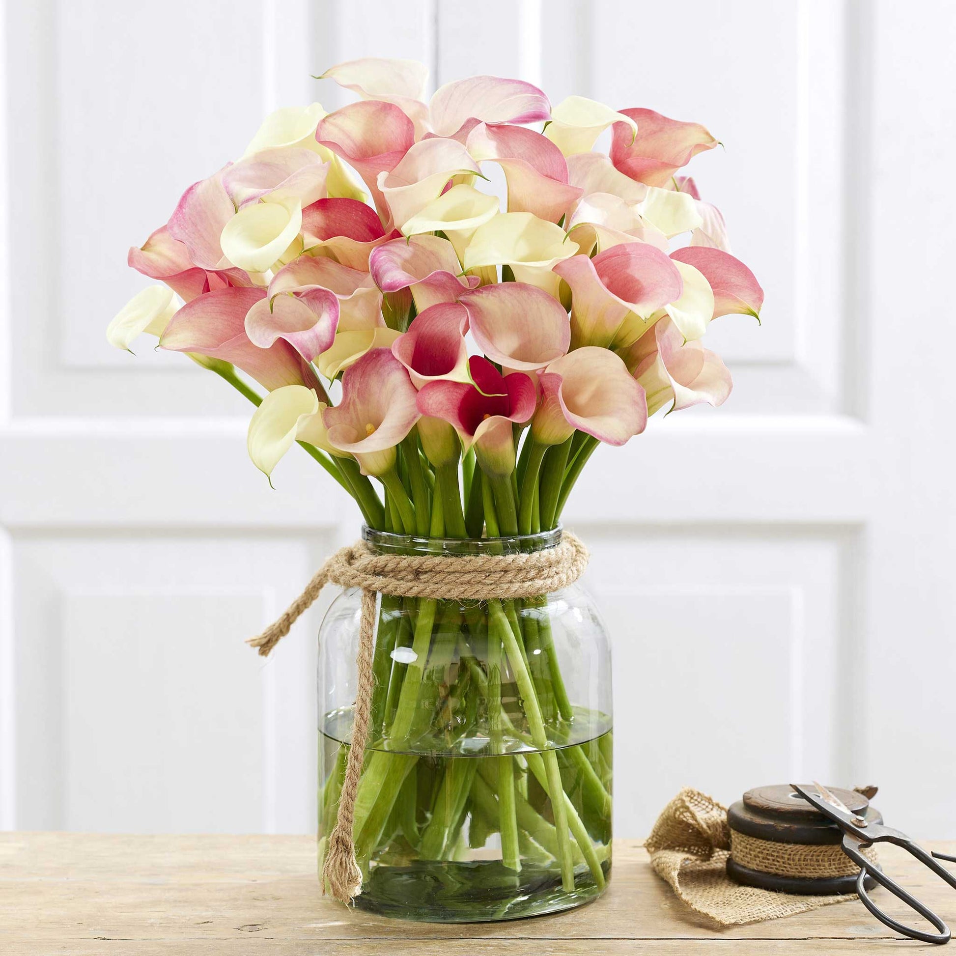 A bouquet of pastel Romantic Mix Calla Lily flowers with a neutral background.