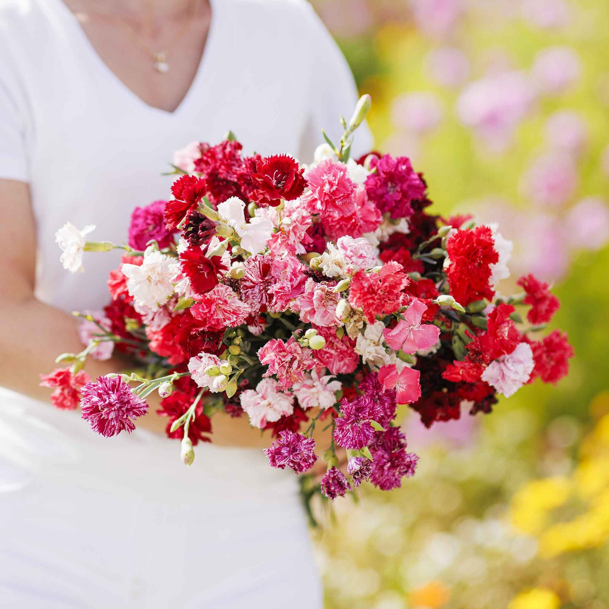 Pink, white and red Enfant de Nice Carnations held in a hand against a pink floral backdrop.