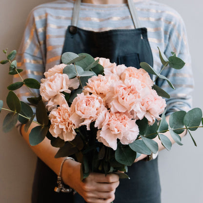 Pink La France Carnations in a bouquet held by a person in a grey apron outdoors.