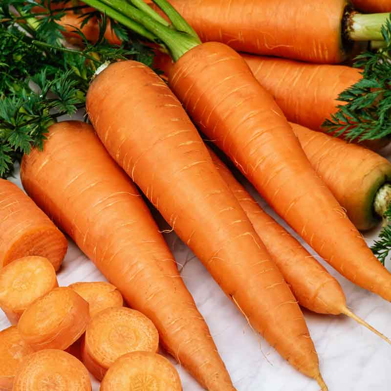 Bright orange Danvers 126 carrots are shown in a bunch, with green tops, and some carrot slices. | copyright: Floramedia UK Ltd