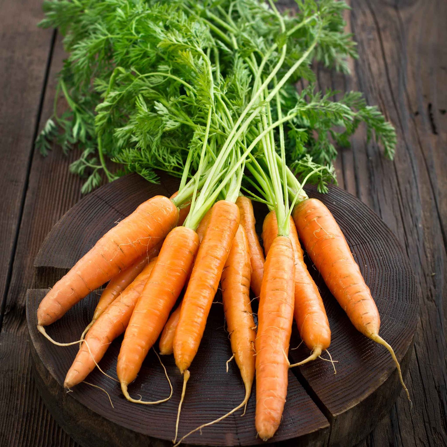 Small, thin 'Little Finger' carrots are tied into a bunch with green tops intact, freshly harvested