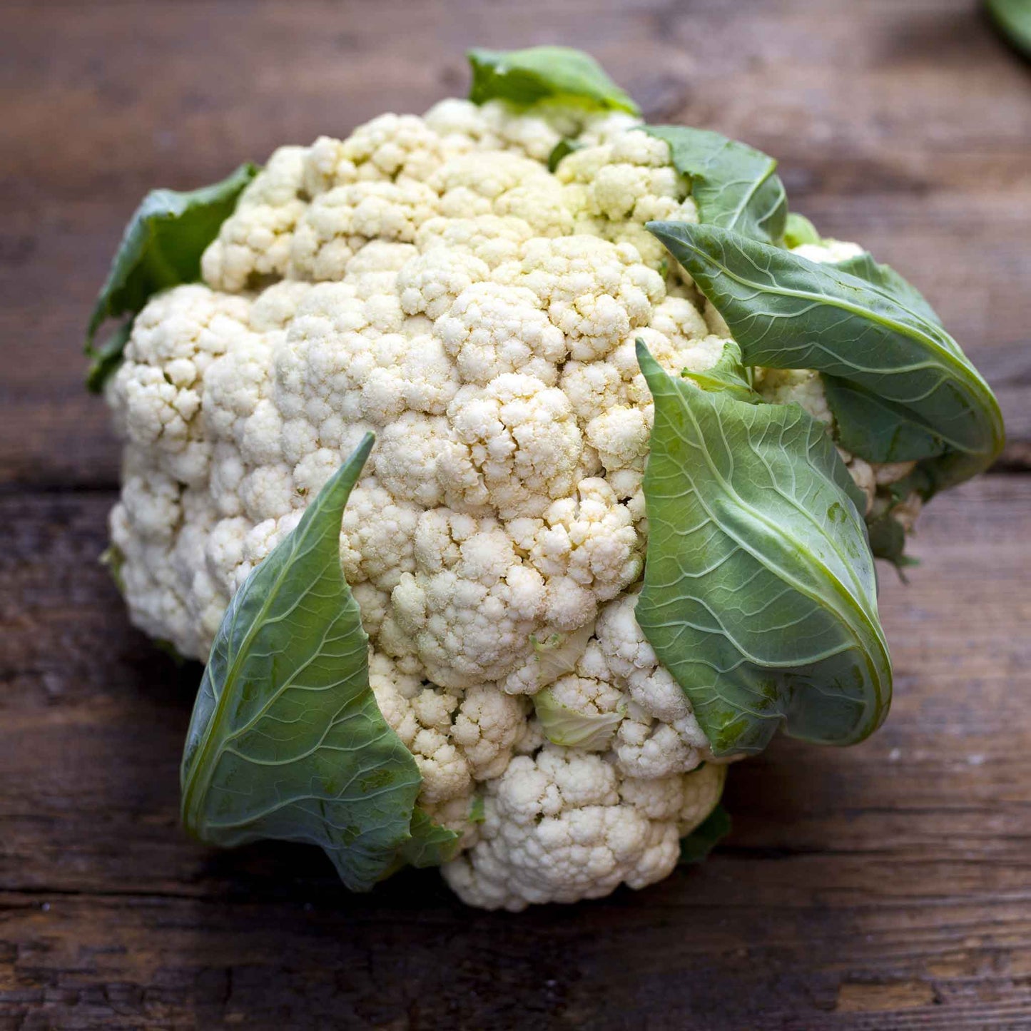 A close-up view of a large, Snowball Y Improved cauliflower head with green leaves at its base.