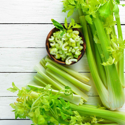 A close-up of a vibrant green Tall Utah 52-70 celery, showcasing its crisp texture and healthy appearance.