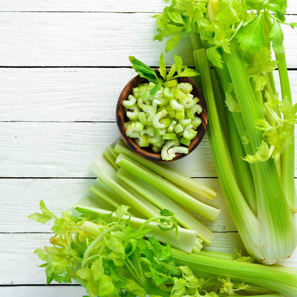 A close-up of a vibrant green Tall Utah 52-70 celery, showcasing its crisp texture and healthy appearance.