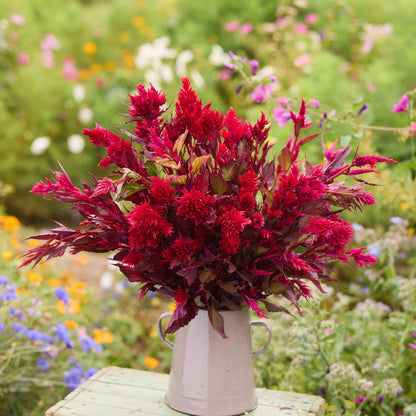Bouquet of red forest fire celosia flowers in a white vase against a garden background