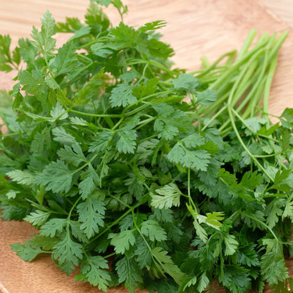 Close-up of cut chervil stems on a wooden background.