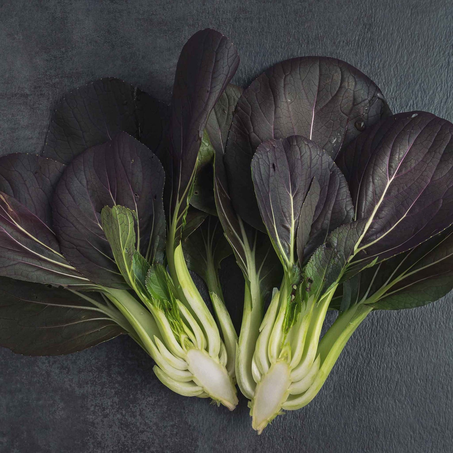 A close-up view of dark purple pak choy red inferno heads with bright green stems.