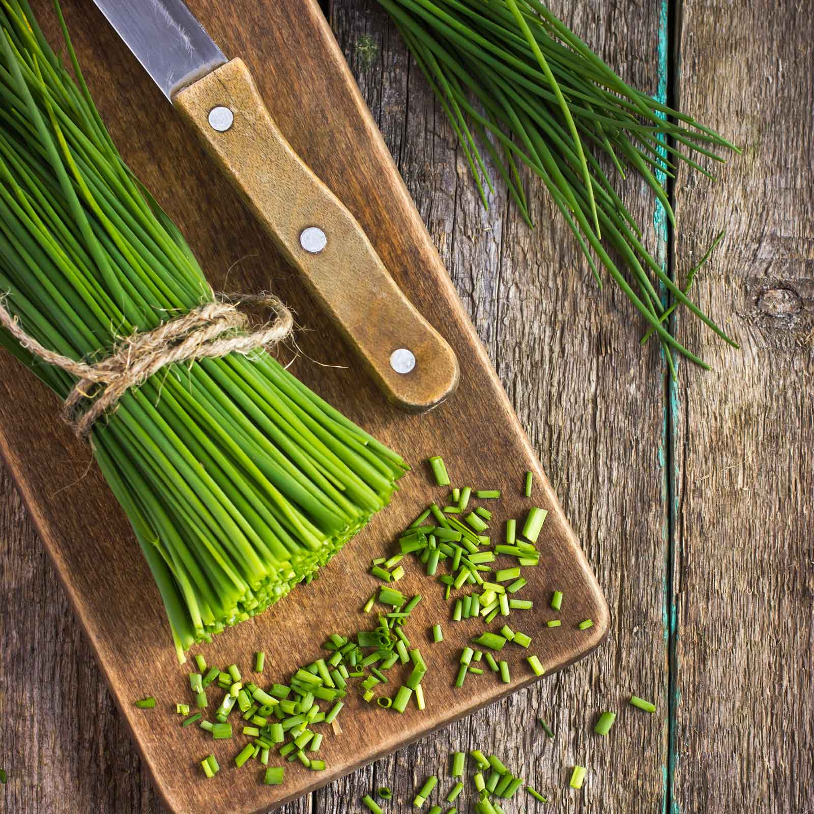 A close-up of a bunch of fresh, orgainic chives with slender, hollow leaves, ready for culinary use.
