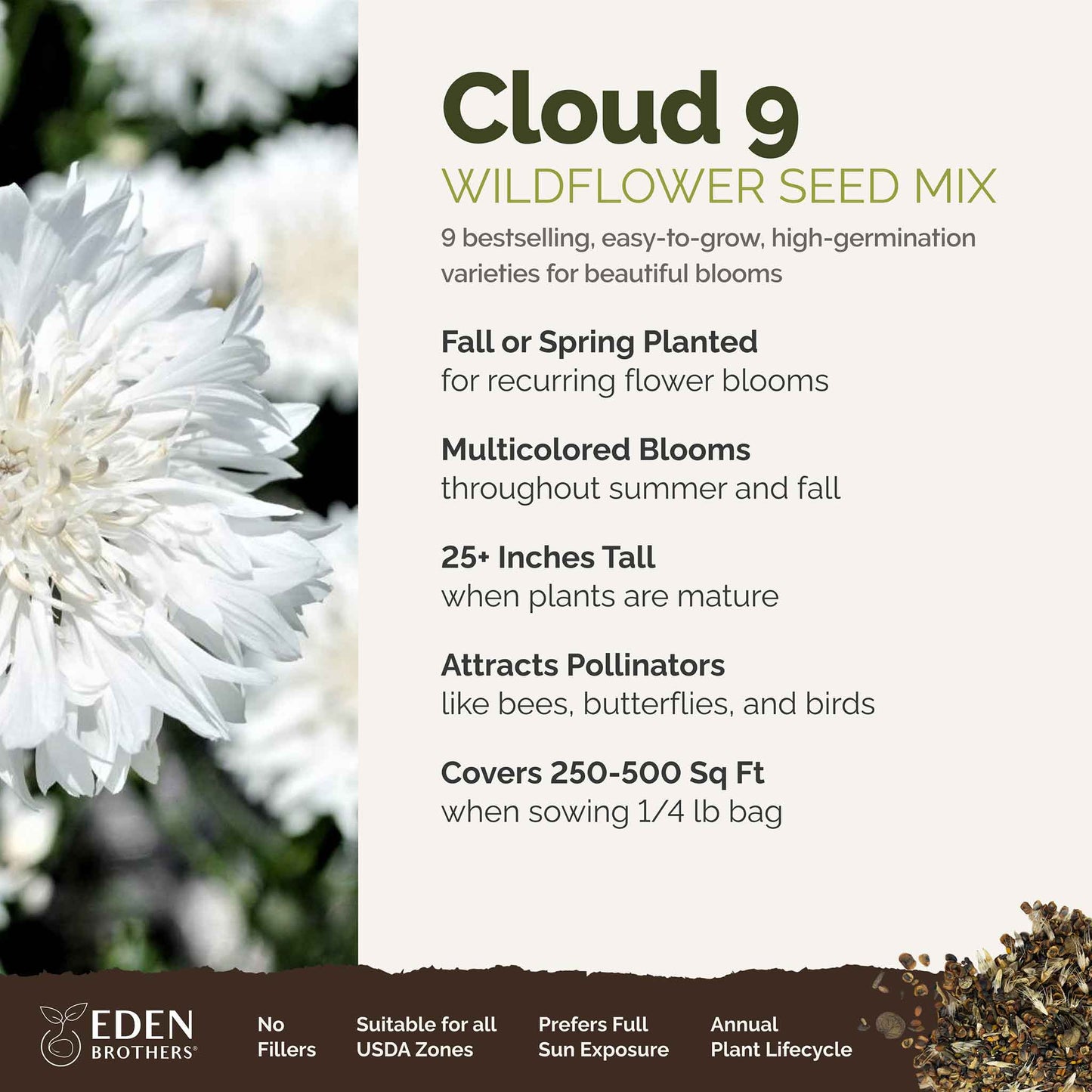 A visual overview of the wildflower seed mix, showcasing expected floral blooms.