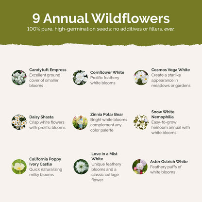 List of flower species and seeds included in the Wildflower Seed Mix.