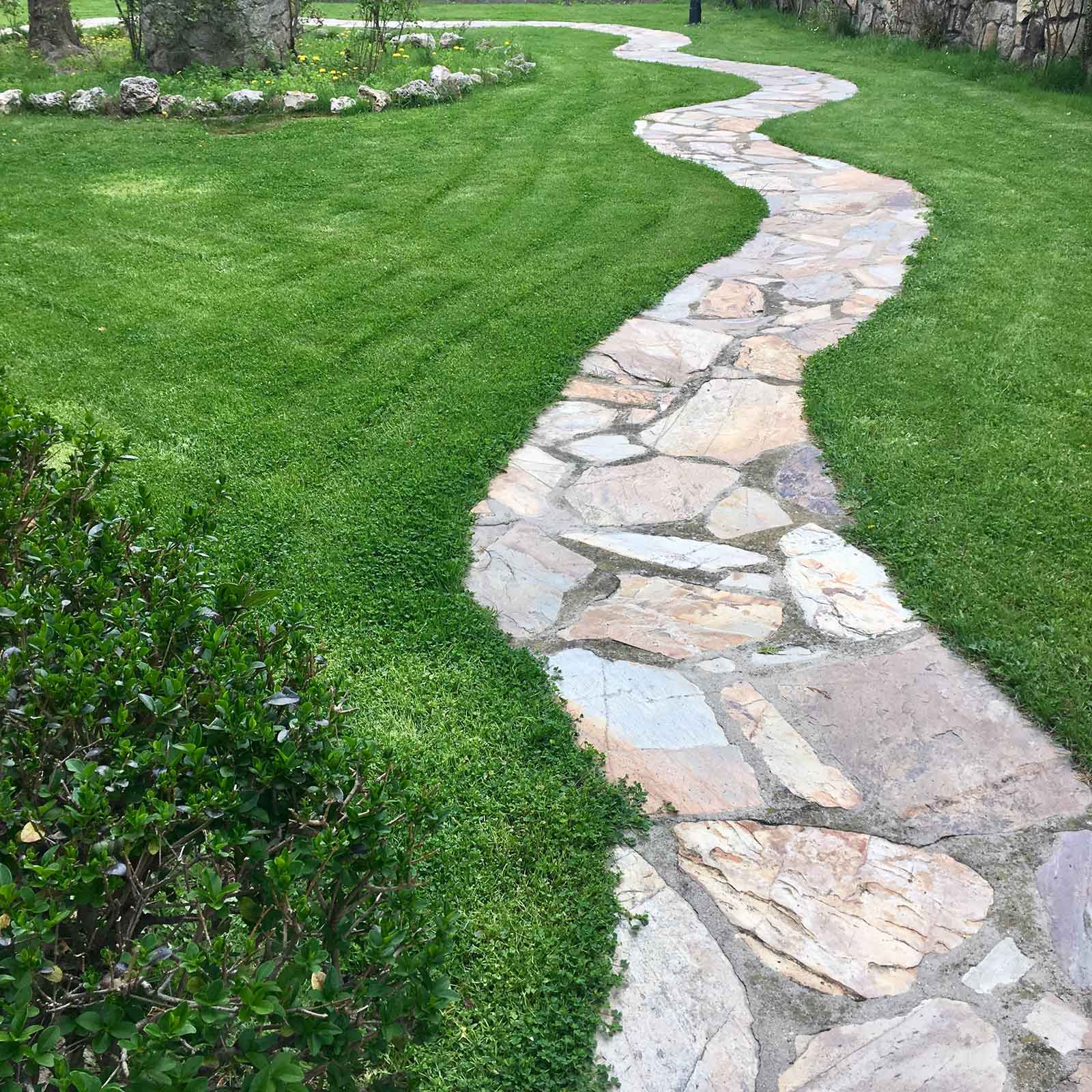 Winding stone path through a lush green micro clover jura lawn.