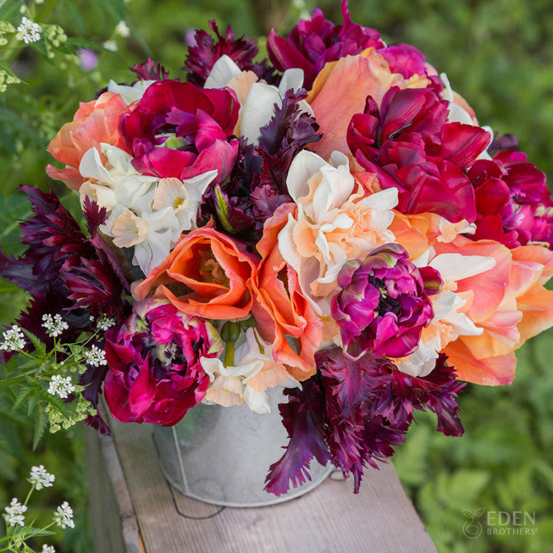 A close-up of a vibrant orange and pink tulips with yellow daffodils.