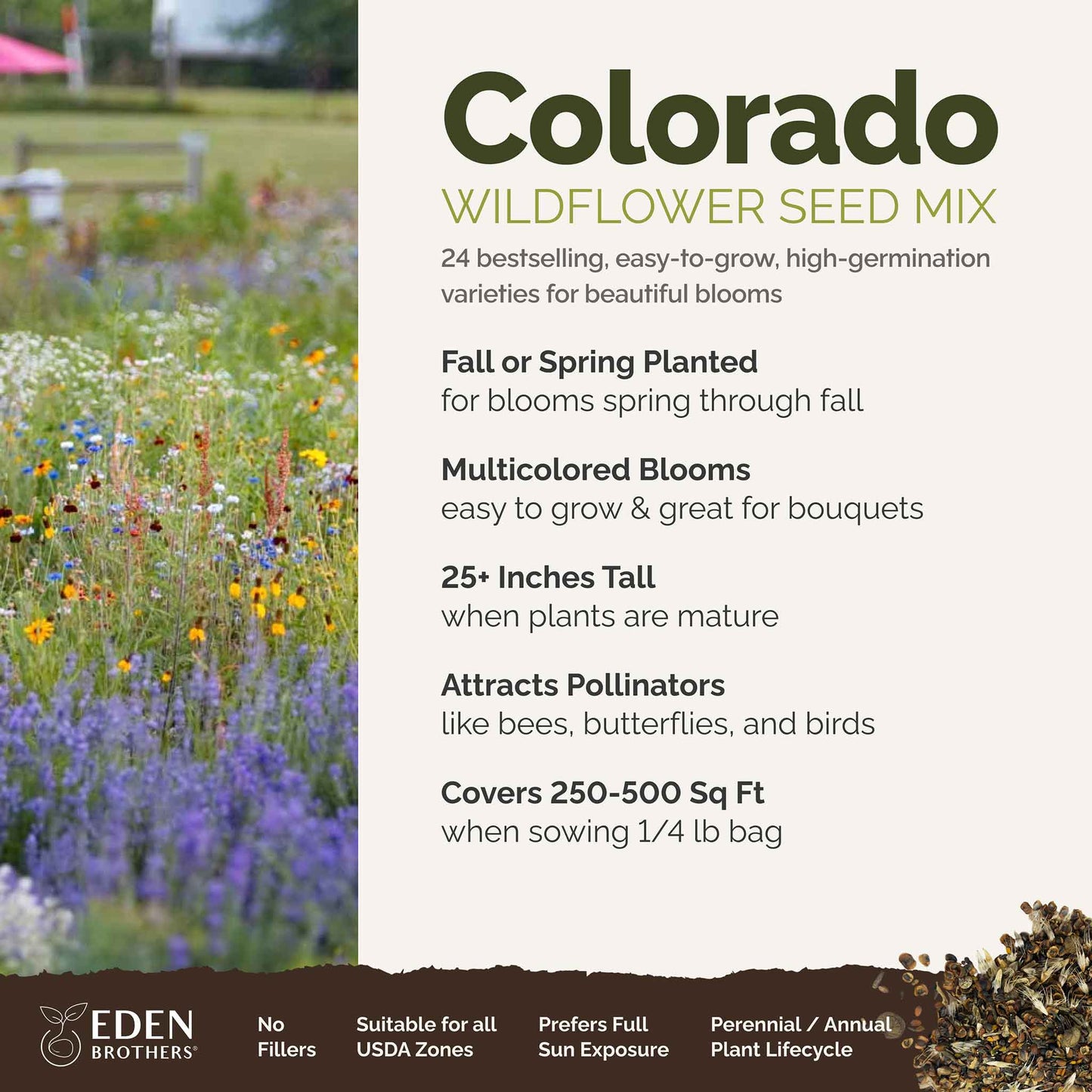 A visual overview of the wildflower seed mix, showcasing expected floral blooms.