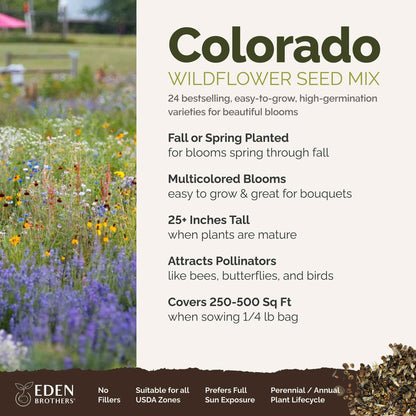 A visual overview of the wildflower seed mix, showcasing expected floral blooms.
