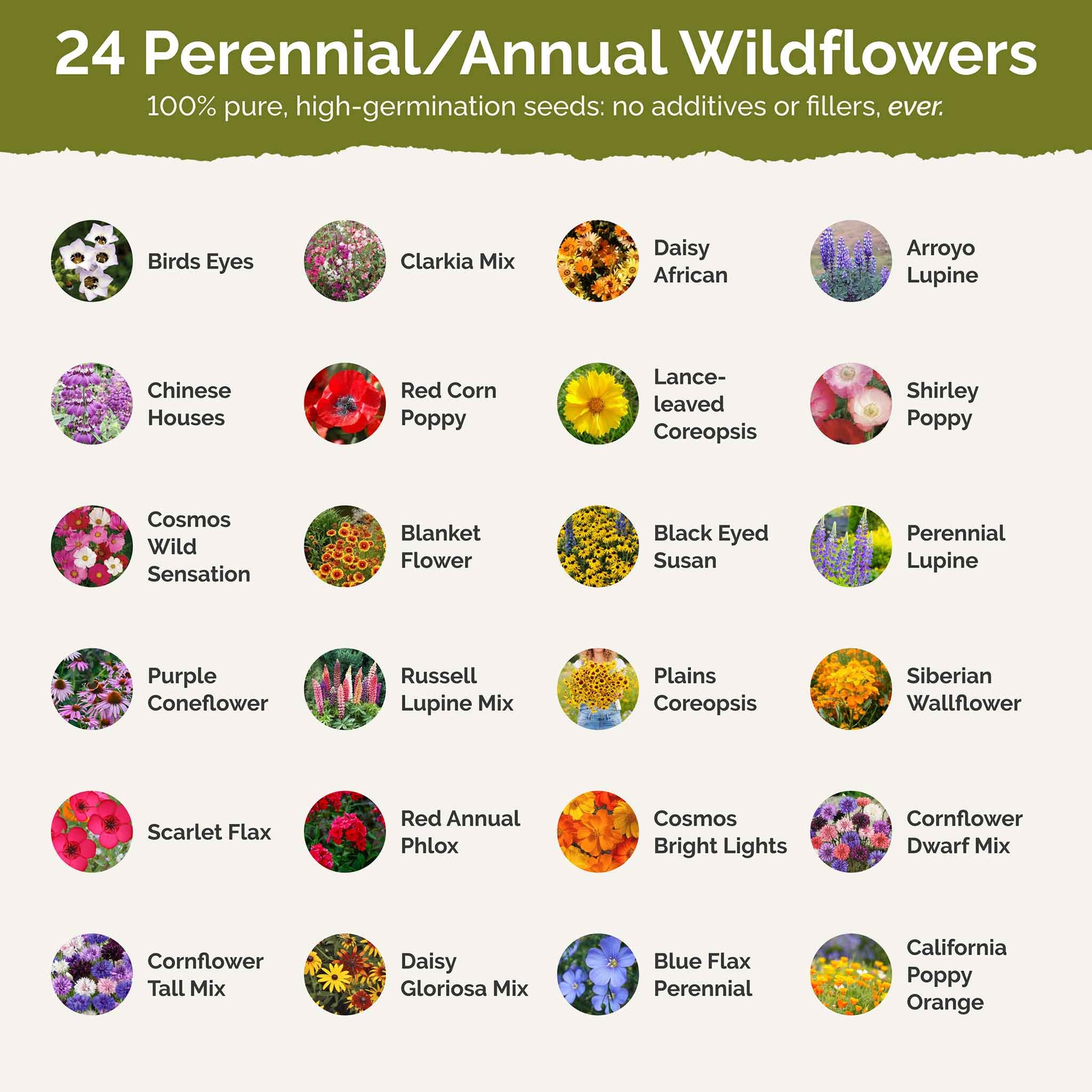 List of flower species and seeds included in the Wildflower Seed Mix.