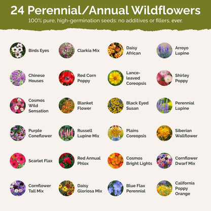 List of flower species and seeds included in the Wildflower Seed Mix.
