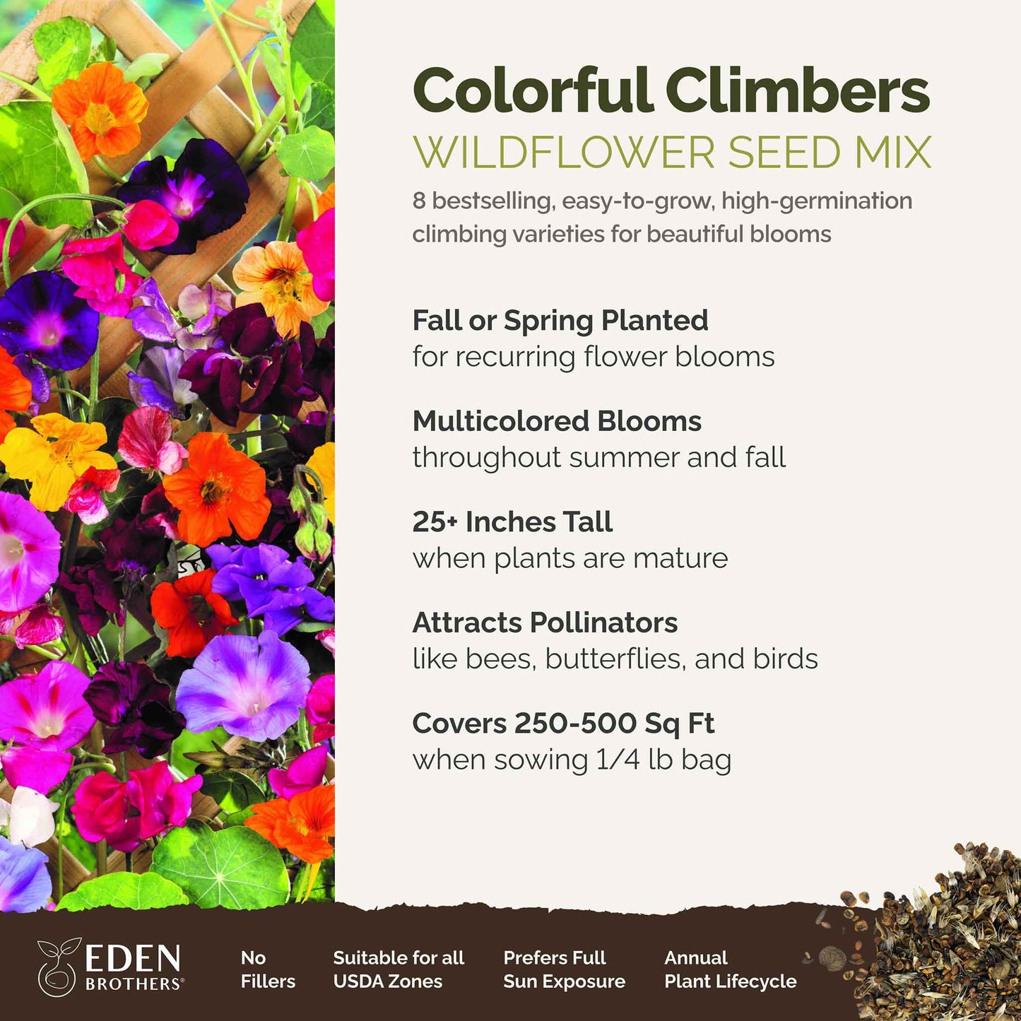 A visual overview of the wildflower seed mix, showcasing expected floral blooms.