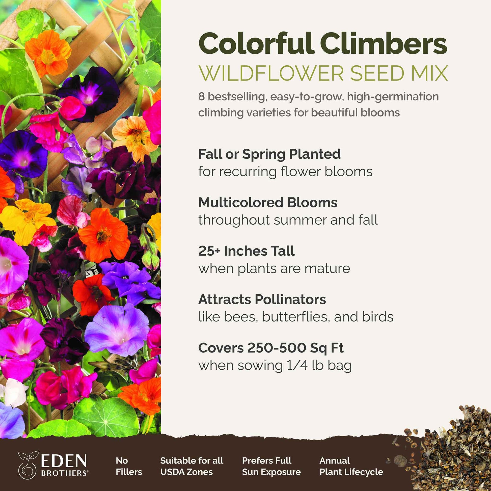 A visual overview of the wildflower seed mix, showcasing expected floral blooms.