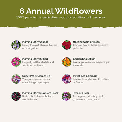 List of flower species and seeds included in the Wildflower Seed Mix.