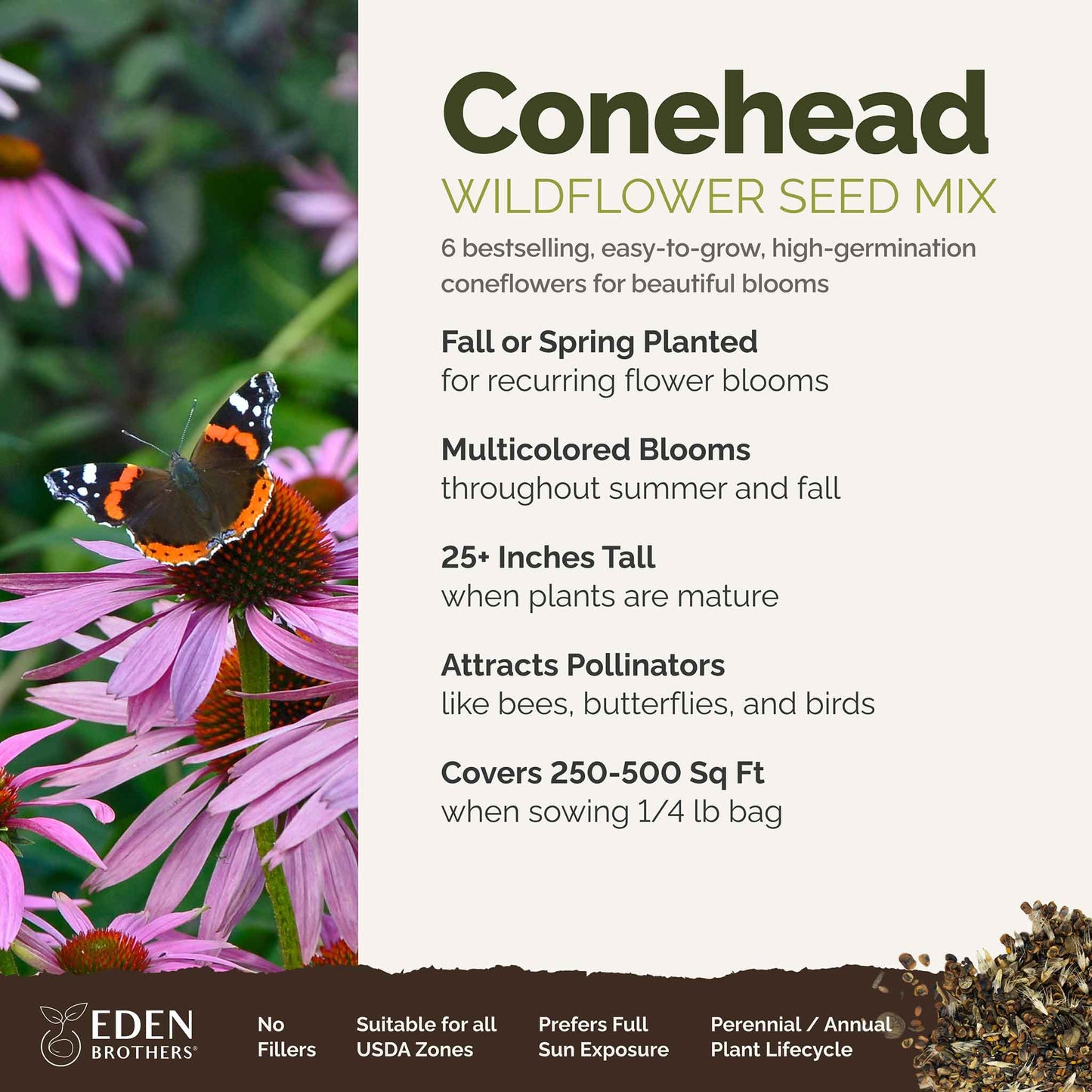 A visual overview of the wildflower seed mix, showcasing expected floral blooms.
